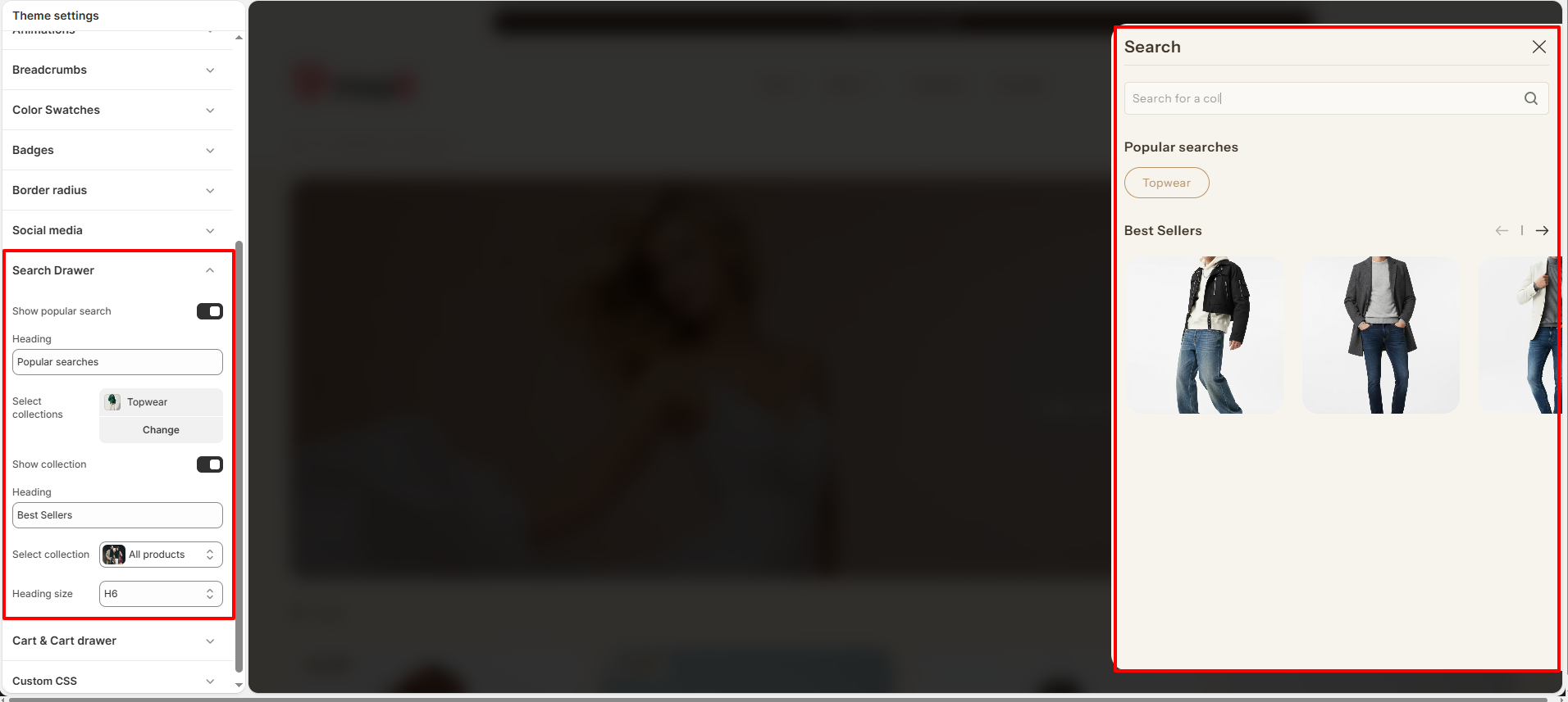 Search Drawer