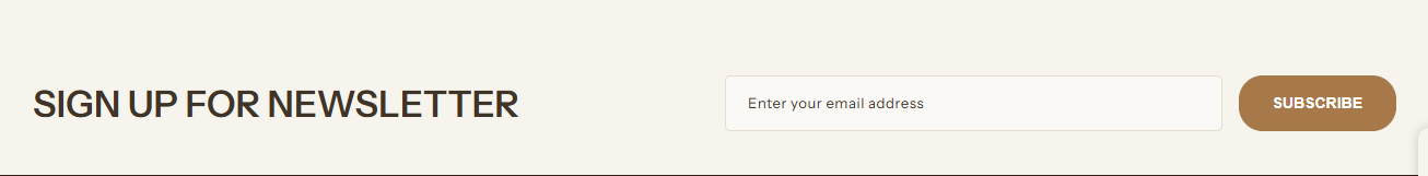 Newsletter Bar Preview