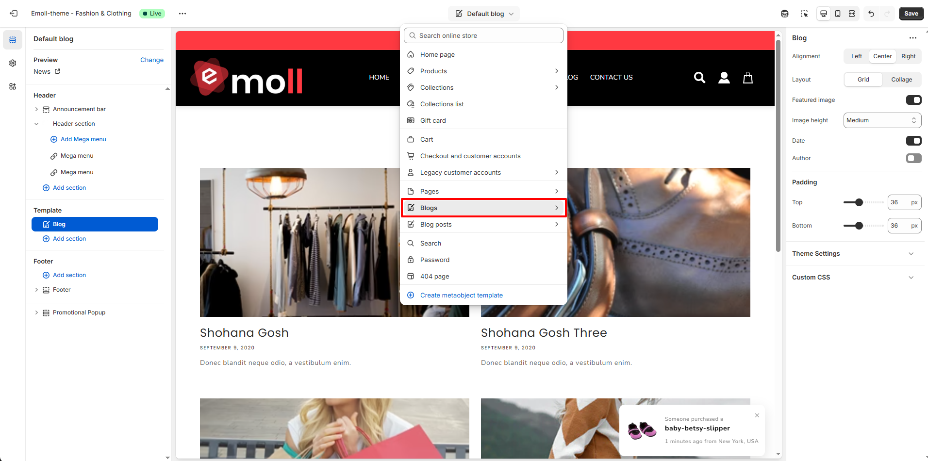 Blog Post Settings Screenshot