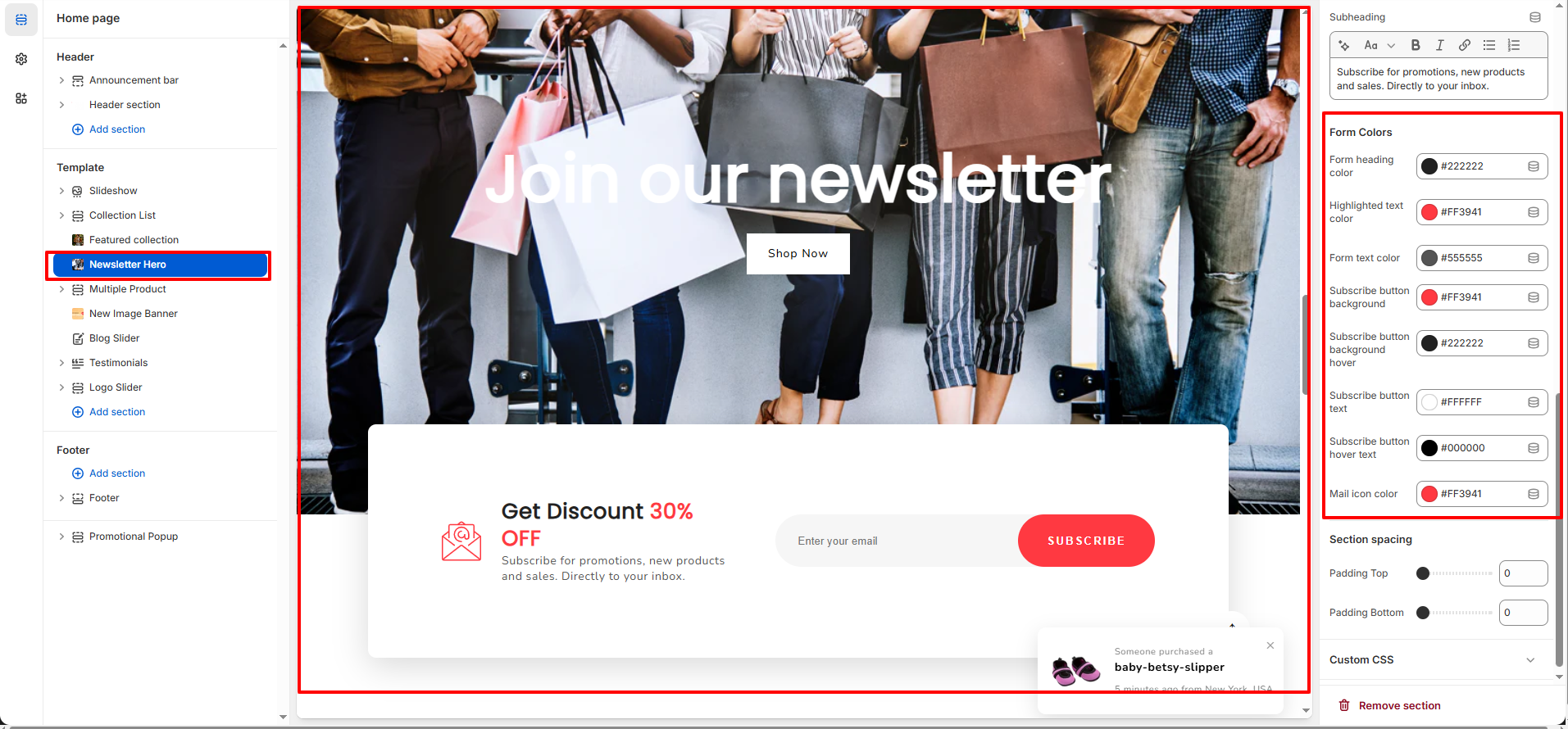Newsletter Form Color Settings